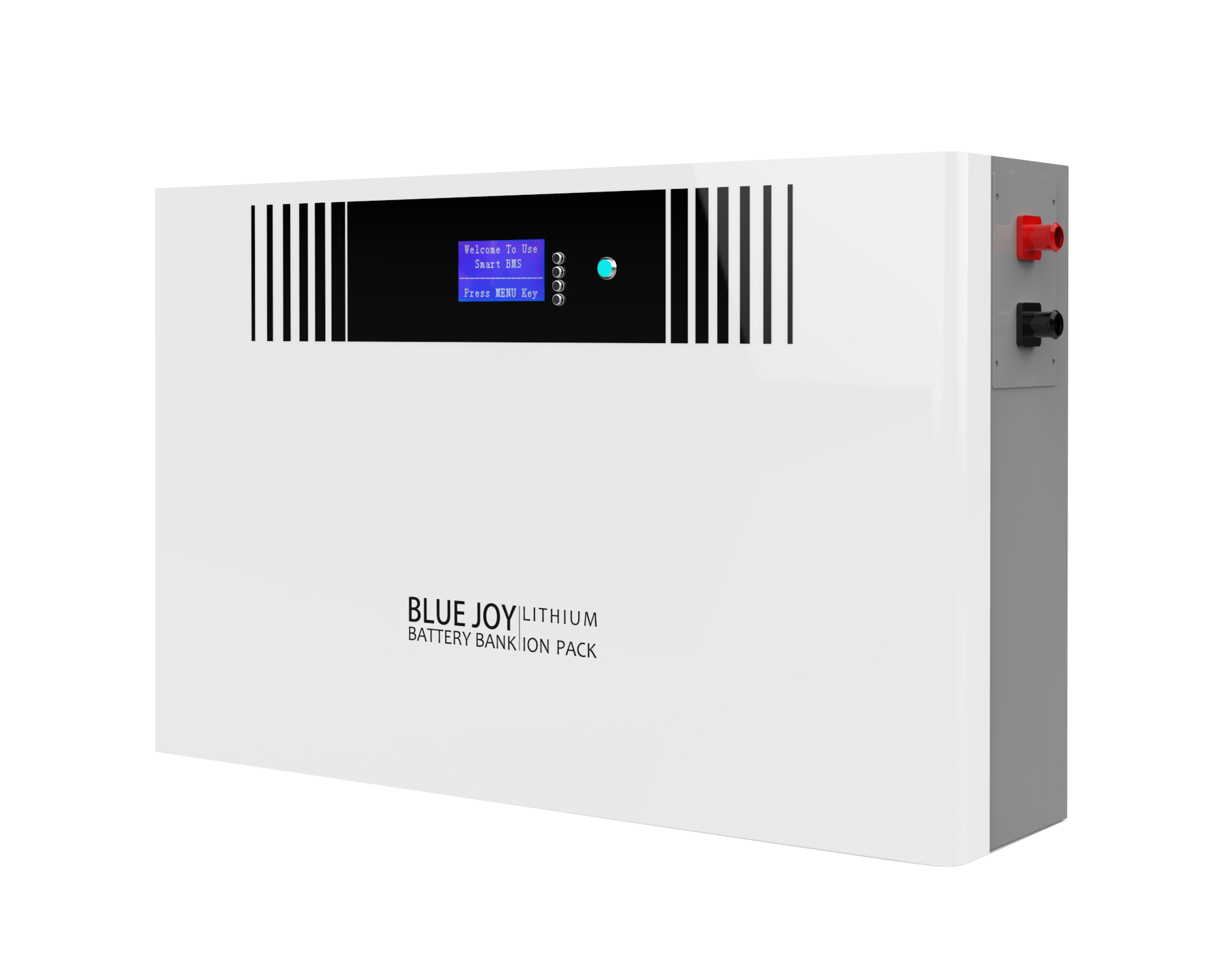 Qingdao Blue Joy Technology Co., Ltd. - Speicher - DJ24-100 DJ24-100 - Art. 30025