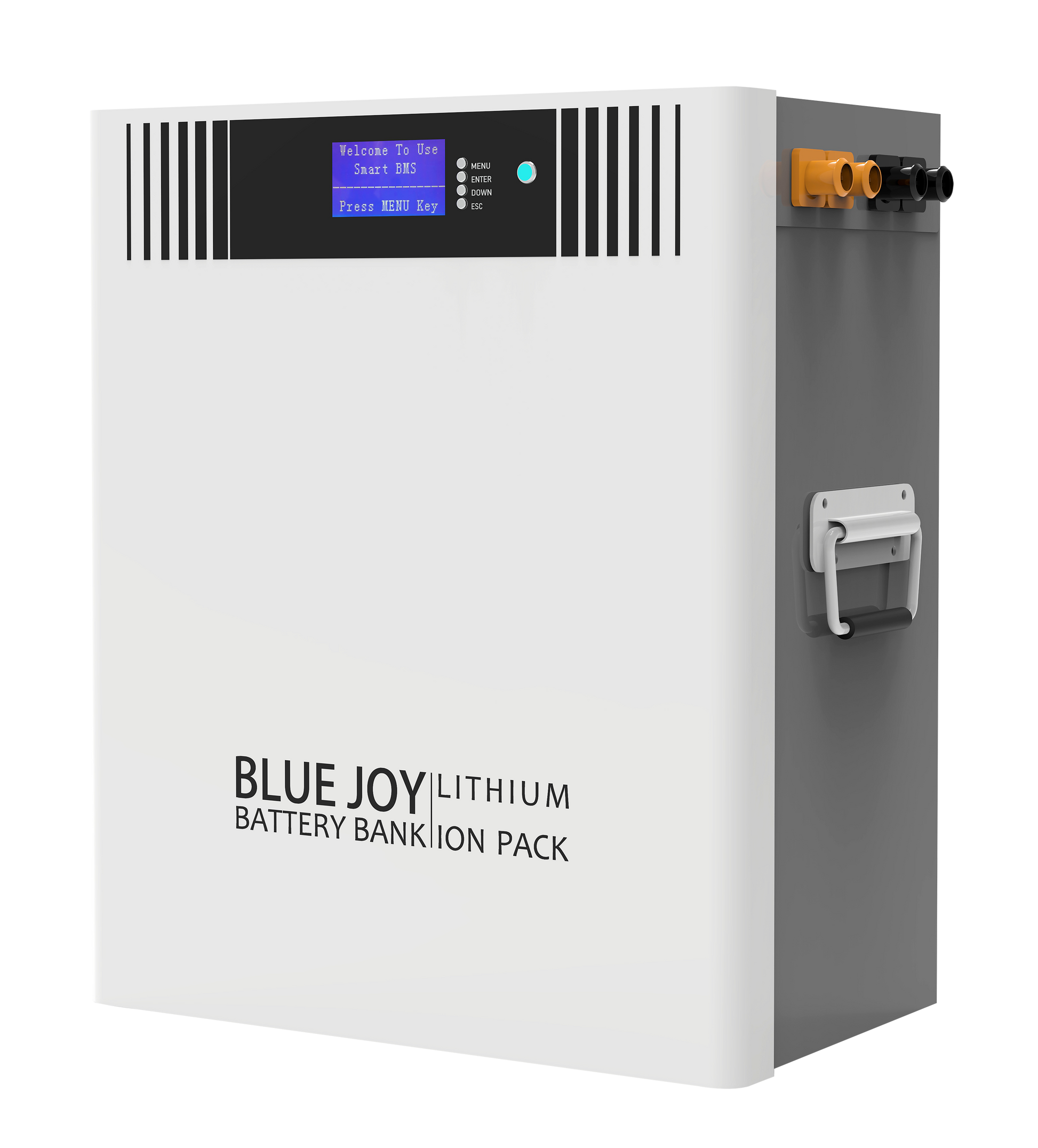 Qingdao Blue Joy Technology Co., Ltd. - Speicher - DJ48-100 DJ48-100 - Art. 30027