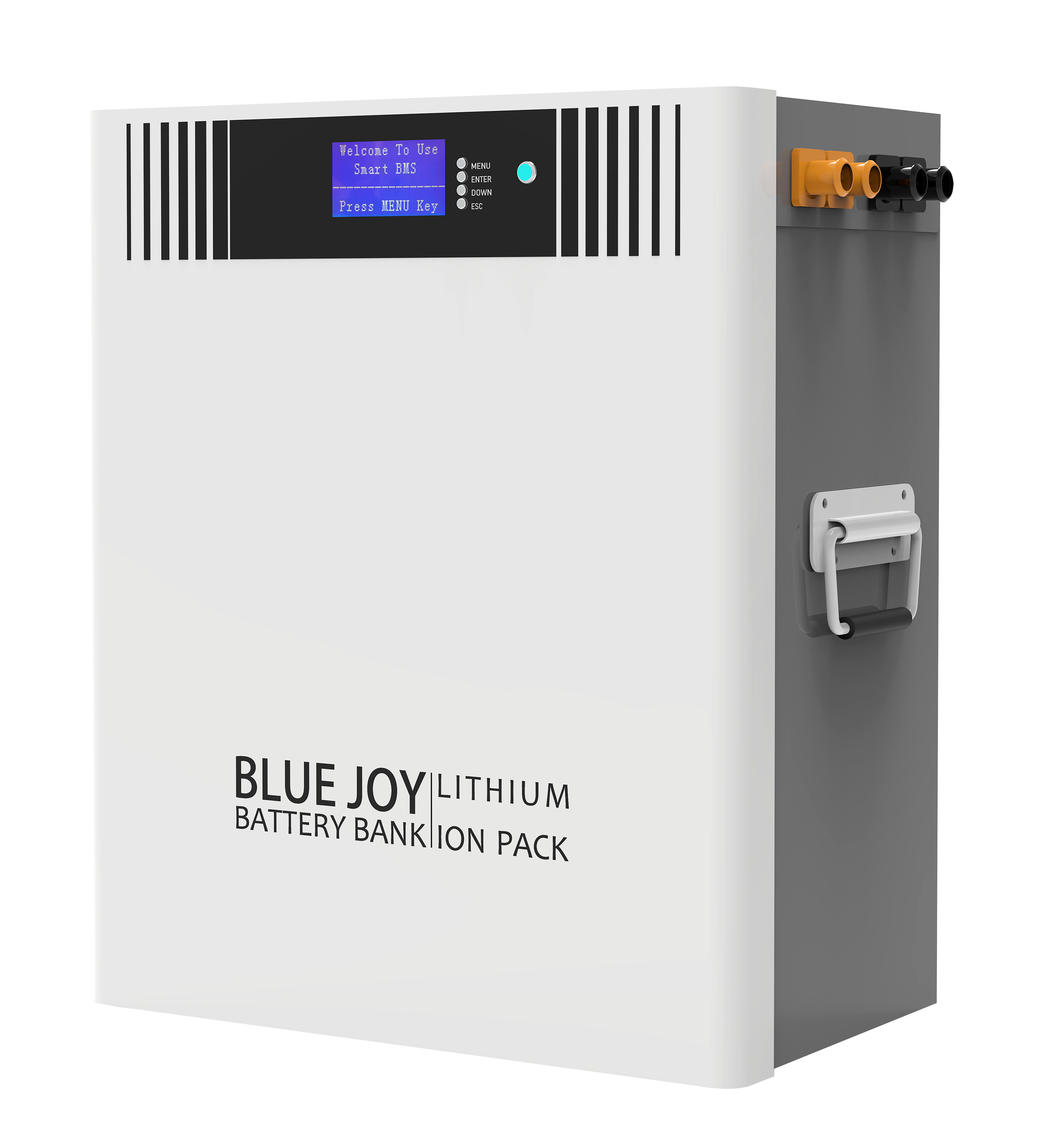 Qingdao Blue Joy Technology Co., Ltd. - Speicher - DJ48-100 DJ48-100 - Art. 30027