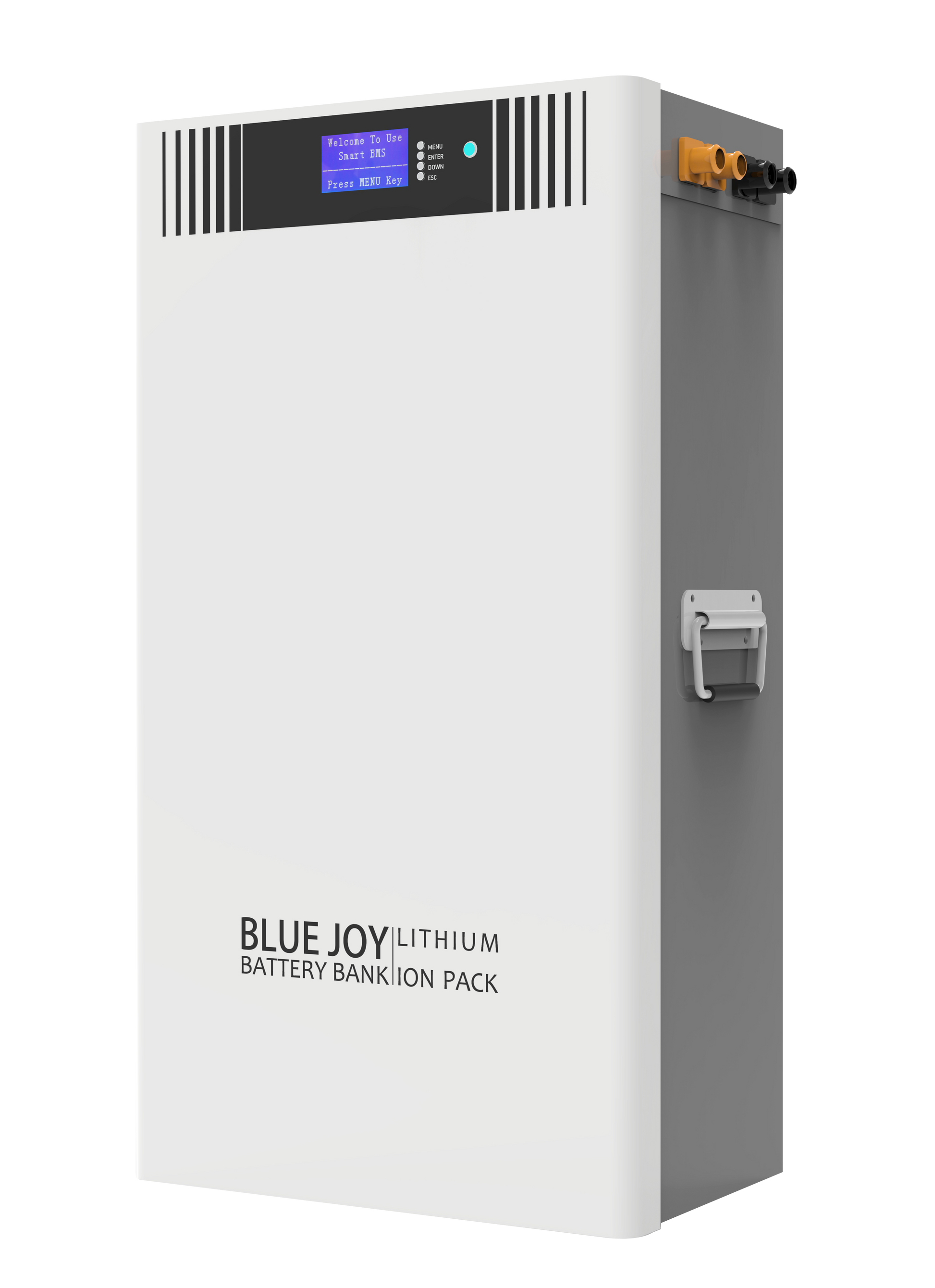 Qingdao Blue Joy Technology Co., Ltd. - Speicher - DJ48-120 DJ48-120 - Art. 30028