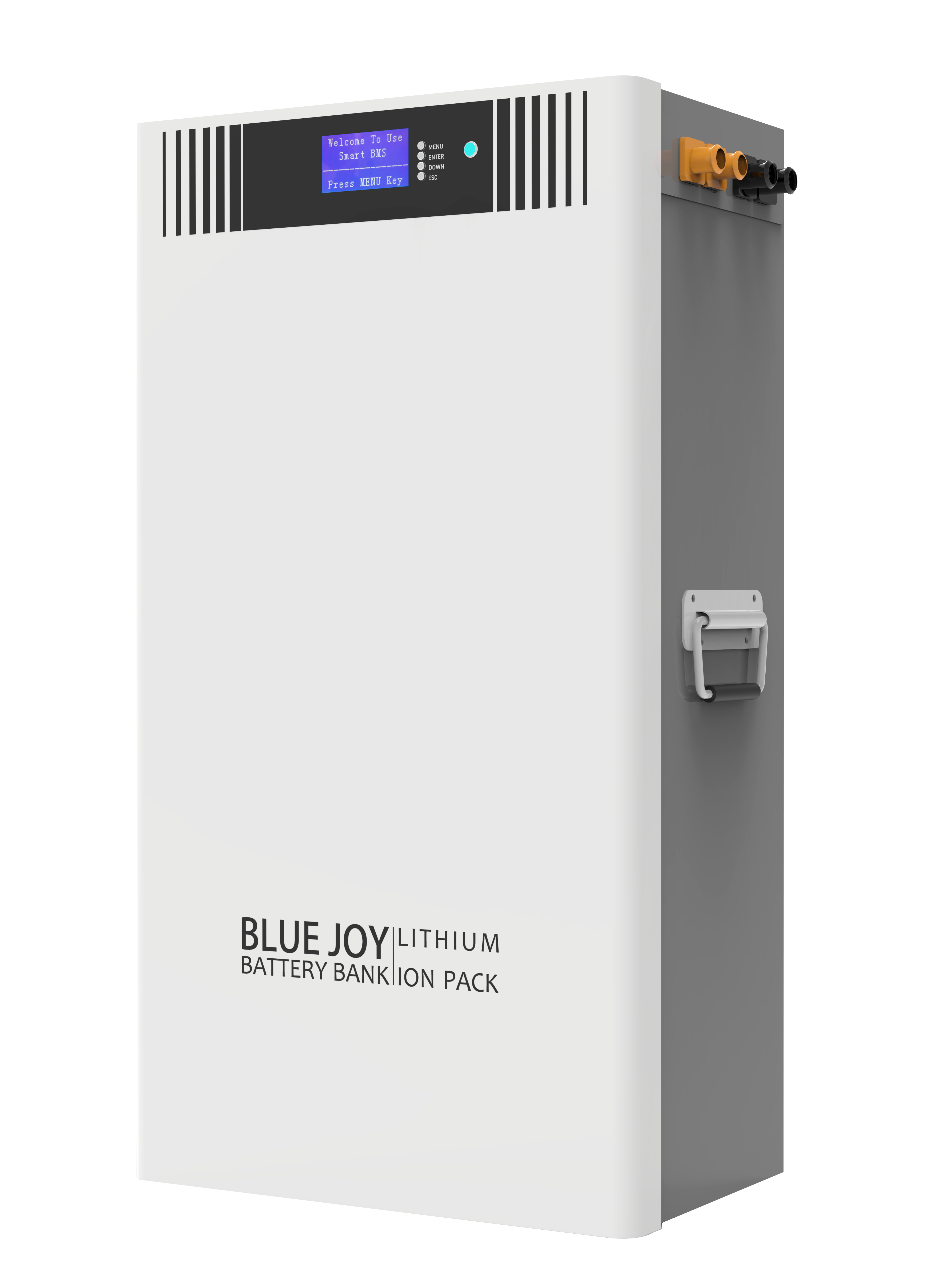 Qingdao Blue Joy Technology Co., Ltd. - Speicher - DJ48-120 DJ48-120 - Art. 30028