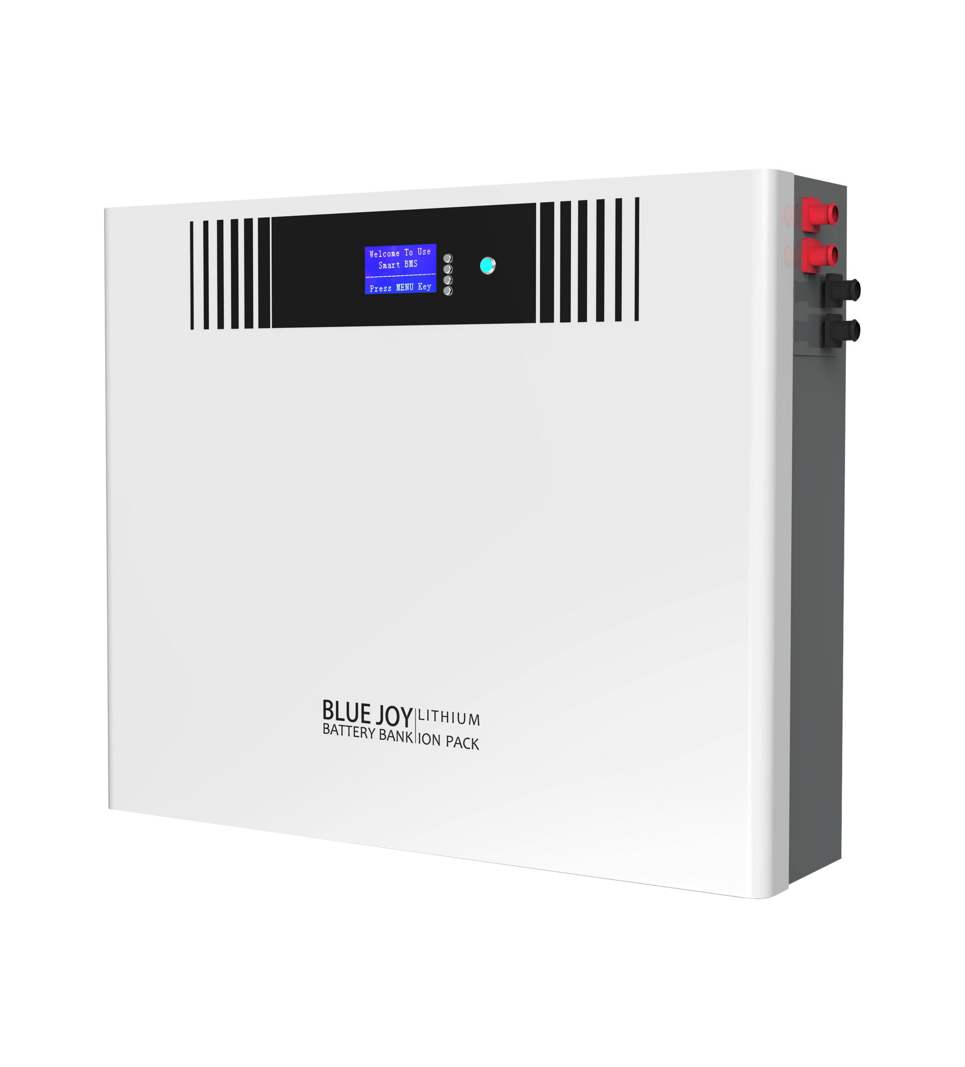 Qingdao Blue Joy Technology Co., Ltd. - Speicher - DJ48-180 DJ48-180 - Art. 30029