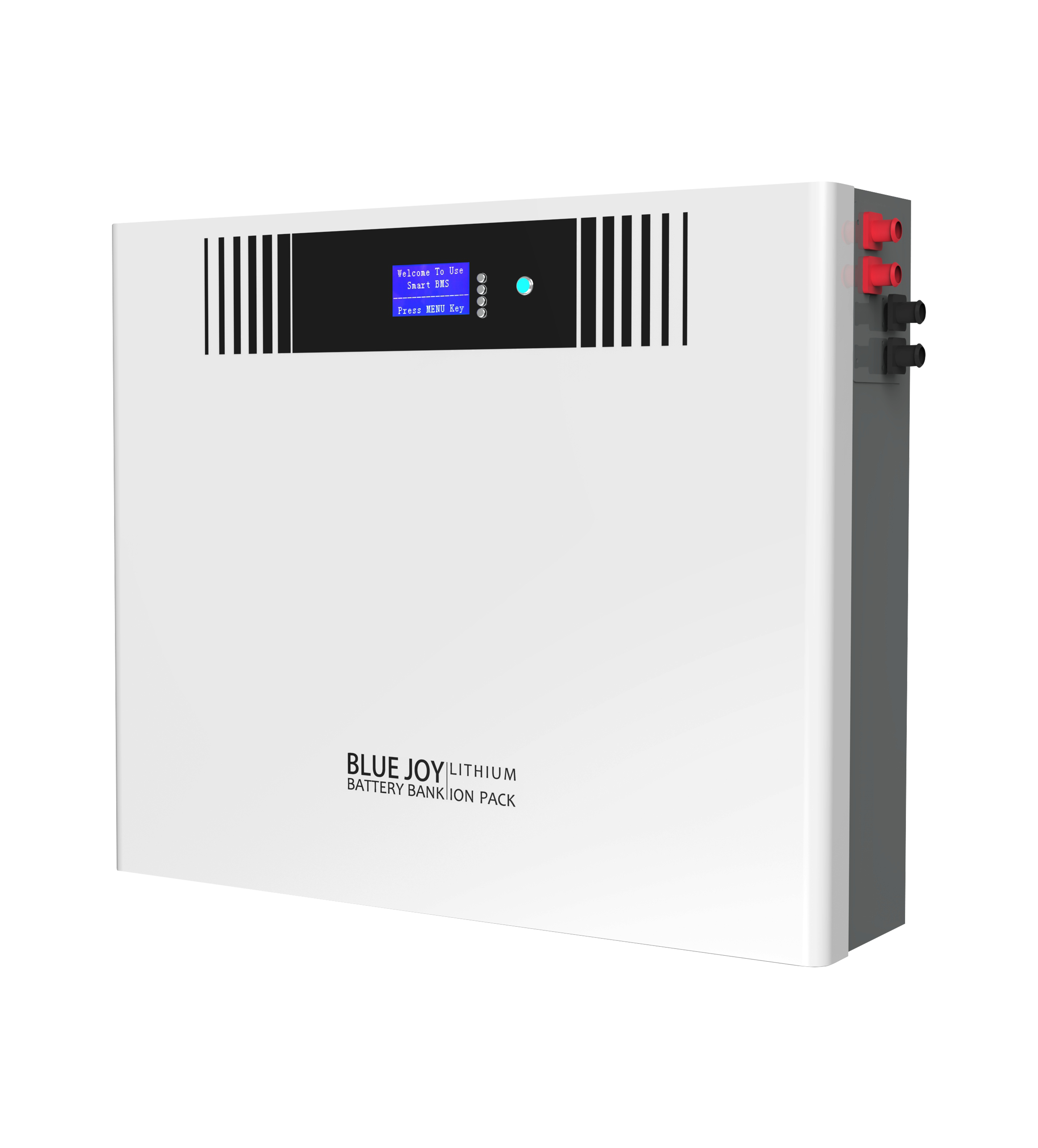 Qingdao Blue Joy Technology Co., Ltd. - Speicher - DJ48-180 DJ48-180 - Art. 30029