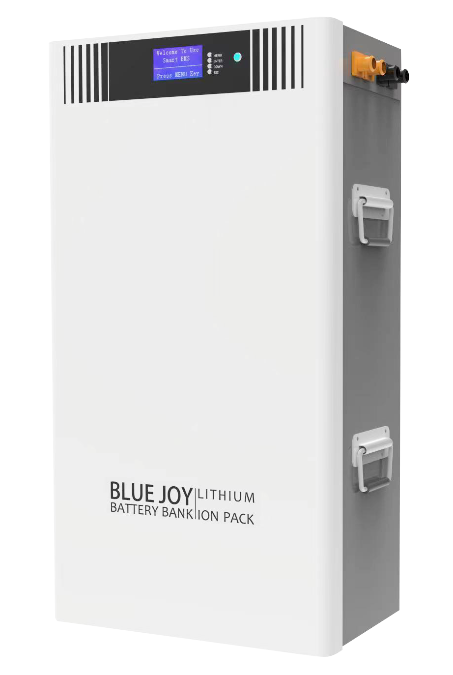 Qingdao Blue Joy Technology Co., Ltd. - Speicher - DJ48-280 DJ48-280 - Art. 30030