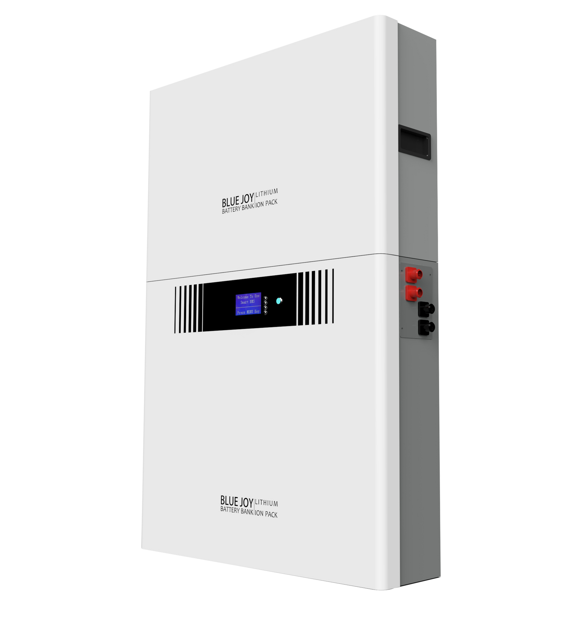 Qingdao Blue Joy Technology Co., Ltd. - Speicher - DJ48-360 DJ48-360 - Art. 30031