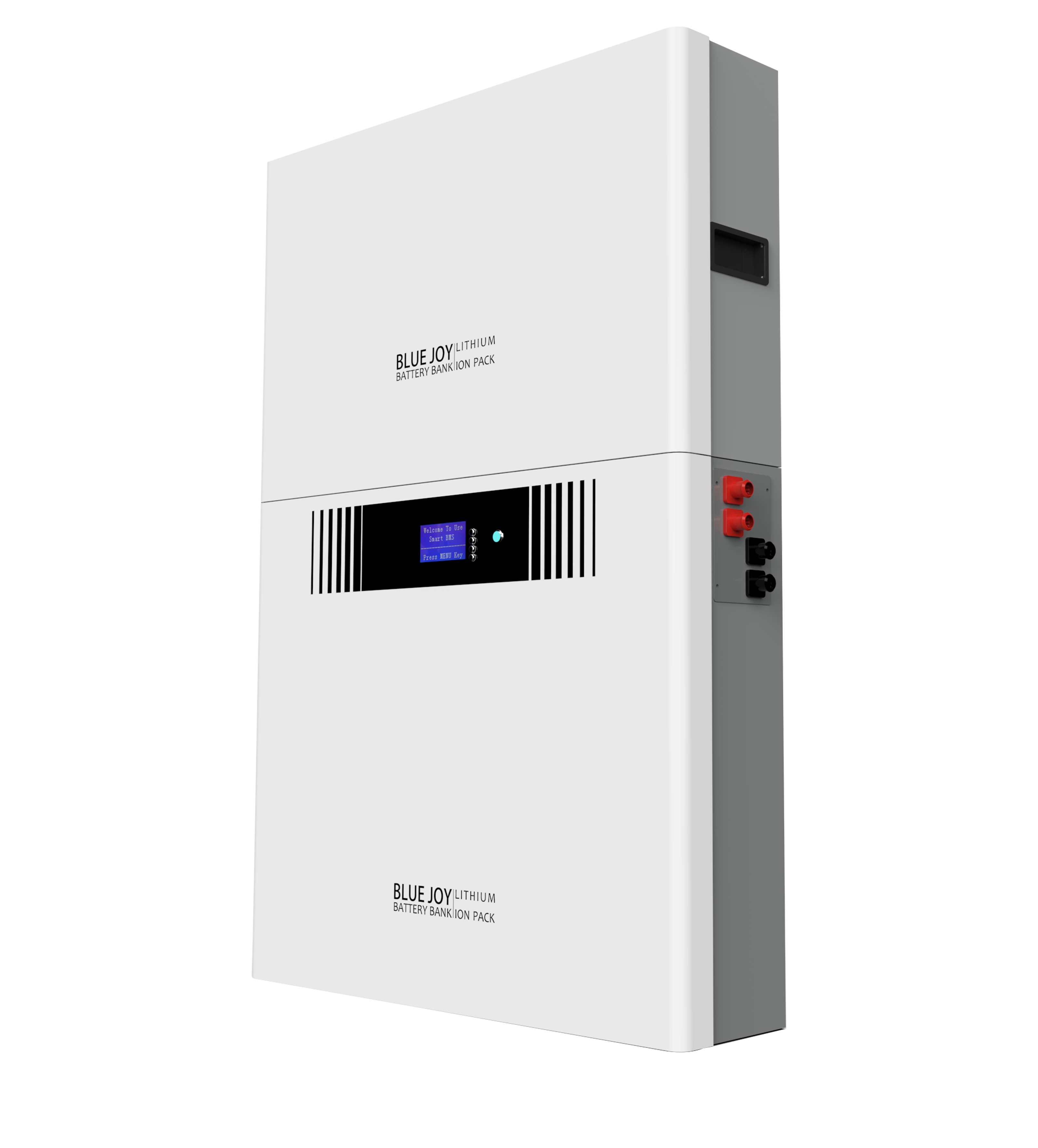 Qingdao Blue Joy Technology Co., Ltd. - Speicher - DJ48-360 DJ48-360 - Art. 30031