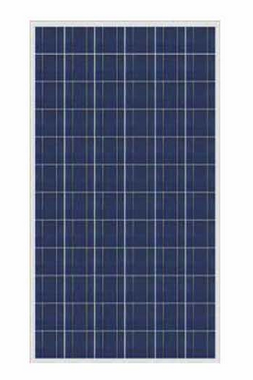 DJ Solar Co., Ltd. - Solarmodul - DJS-T290-300P672PT DJS-T300P672PT - Art. 37043