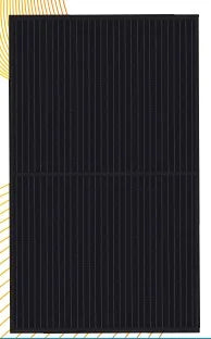 VDH Solar Groothandel B.V. - Solarmodul - DMEGC Solar
                                                        DM335G1-60HBB 330W - Art. 160694