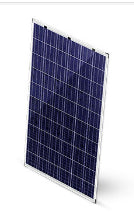 Cenergy Solar Co., Limited - Solarmodul - DP60-255-270 10% Transmittance DP60-265 - Art. 191926
