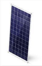 Cenergy Solar Co., Limited - Solarmodul - DP72-310-325 Opaque DP72-310 - Art. 191916