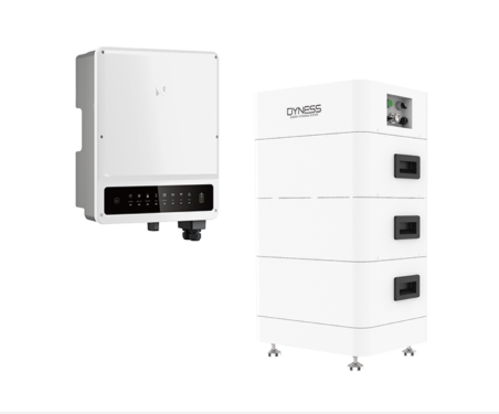 DYNESS + GOODWE Batteriepaket & Wechselrichter 10,66 kWh | 10 kW