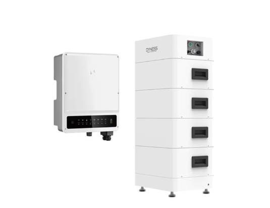 DYNESS + GOODWE Batteriepaket & Wechselrichter 14,2 kWh | 10 kW