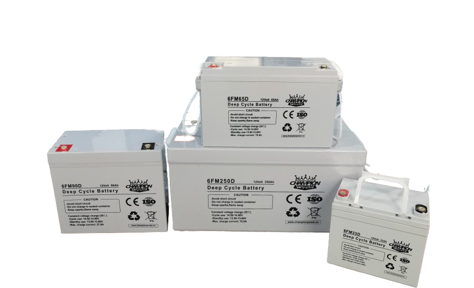 Champion Power Tech Co., Ltd. - Speicher - Deep Cycle Battery 6FM150D - Art. 24475