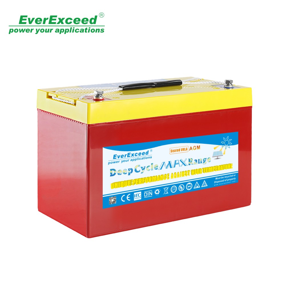 Shenzhen EverExceed Industrial Co., Ltd. - Speicher - Deep Cycle Max Range VRLA DM-1220 - Art. 24654
