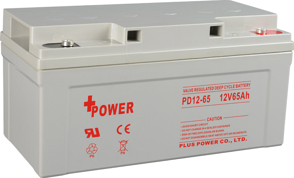 Plus Power Battery Co., Ltd. - Speicher - Deep Cycle Series PD12V 65Ah PD12-70 - Art. 20918