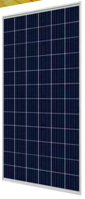 Energy America, LLC - Solarmodul - EA-ZLK-XC-72 325-350W 335W - Art. 235871