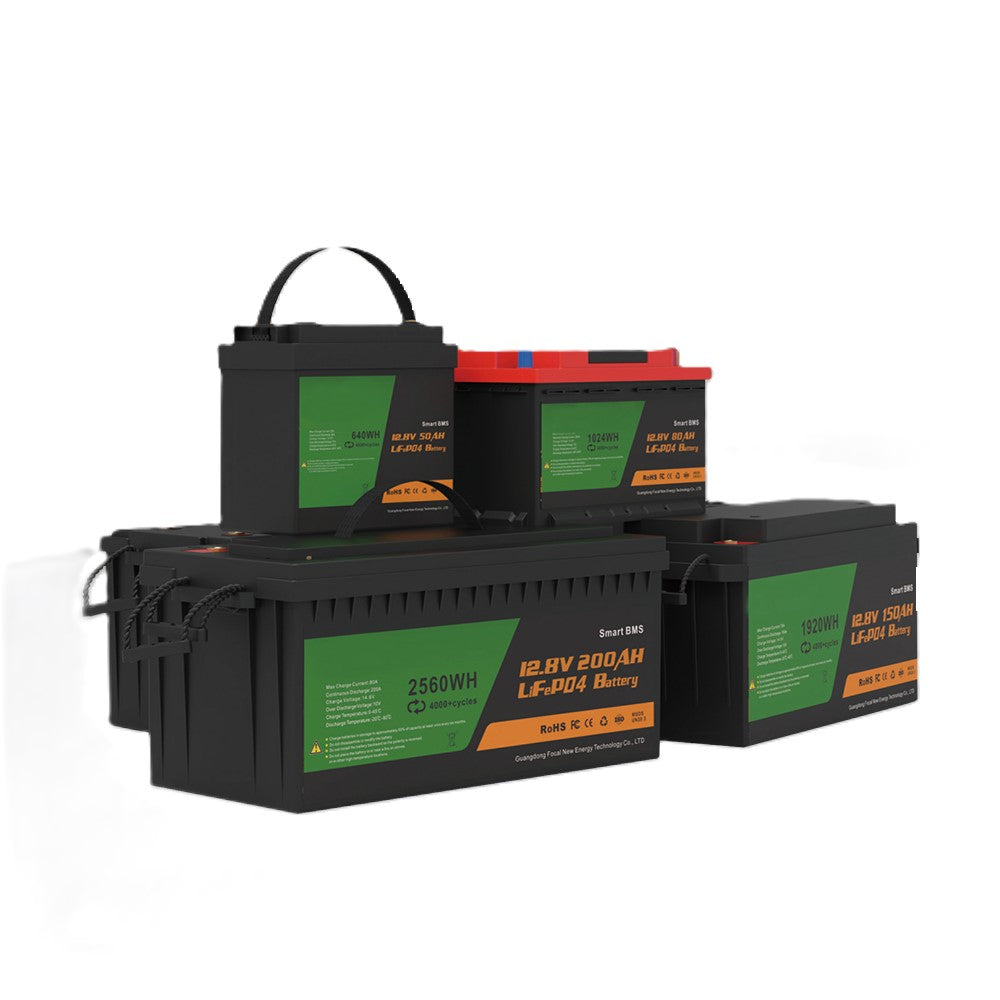 Changchun Elink Technology Co., Ltd. - Speicher - ELKJNSCLFP12 ELKJNSCLFP1250 - Art. 37542