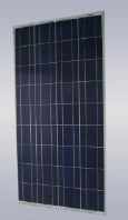 EL Rongchang Group Co., Ltd. - Solarmodul - ERG-100P ERG-100P - Art. 120990