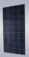 EL Rongchang Group Co., Ltd. - Solarmodul - ERG-150P ERG-150P - Art. 120992