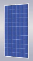 EL Rongchang Group Co., Ltd. - Solarmodul - ERG-260P ERG-260P - Art. 120993