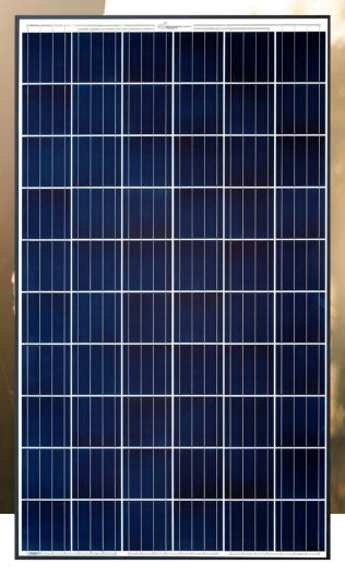 CS Wismar GmbH Sonnenstromfabrik - Solarmodul - Excellent  270-280 P60 LOW CARBON 270 - Art. 170963