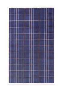 Further Power Co., Ltd - Solarmodul - FDS-160P-24 FDS-160P-24 - Art. 180958