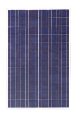 Further Power Co., Ltd - Solarmodul - FDS-180P-24 FDS-180P-24 - Art. 180959