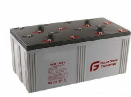 Future Green Technology Co., Ltd. - Speicher - FG-2V3000AH FG-2V3000AH - Art. 15867