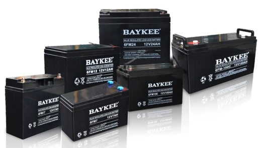 Aerospace Baykee (Guangdong) Technology Co., Ltd. - Speicher - FM Series CP12650F-X - Art. 11155