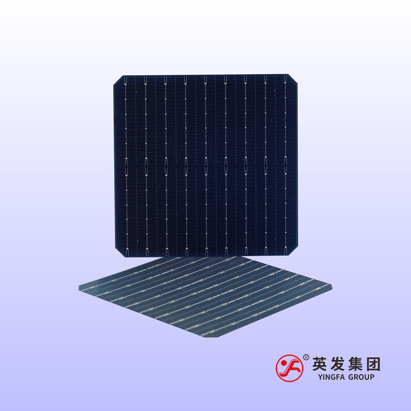 Anhui Yingfa Ruineng Technology Co., Ltd. - Zellen - F M6 9BB PERC A2220 - Art. 25959