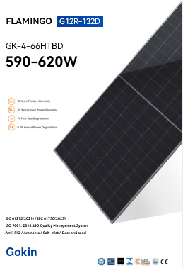 Gokin Solar Co., Ltd. - Solarmodul - Flamingo G12R-132D 590-620W GK-4-66HTBD-615M - Art. 225773
