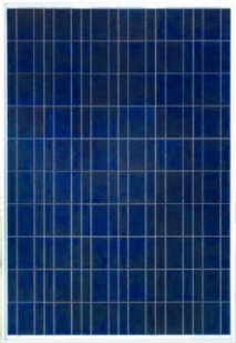 Greenfinity Energy Ltd. - Solarmodul - GEL-P100 GEL-P100 - Art. 124557