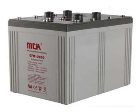 Shenzhen CBC Guotong Technology Co., Ltd - Speicher - GFM-2000 GFM-2000 - Art. 3635