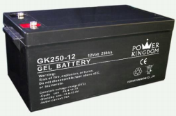 Shenzhen Power Kingdom Co., Ltd. - Speicher - GK250-12 GK250-12 - Art. 1646
