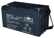 Shenzhen Power Kingdom Co., Ltd. - Speicher - GK65-12 GK65-12 - Art. 1629