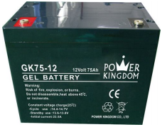 Shenzhen Power Kingdom Co., Ltd. - Speicher - GK75-12 GK75-12 - Art. 1633