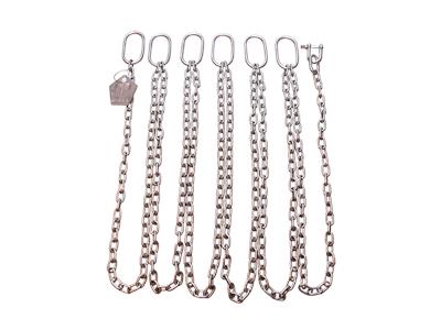 GRUNDFOS Lifting chain -Art. 98538175