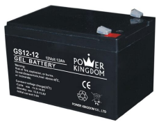 Shenzhen Power Kingdom Co., Ltd. - Speicher - GS12-12 GS12-12 - Art. 1597