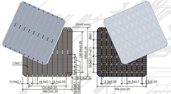G-STAR Pte. Ltd. - Zellen - GS166M 6,25 - Art. 25711