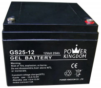 Shenzhen Power Kingdom Co., Ltd. - Speicher - GS25-12 GS25-12 - Art. 1620