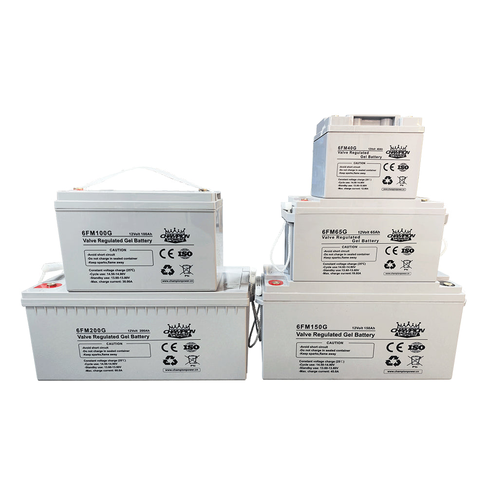 Champion Power Tech Co., Ltd. - Speicher - Gel Battery 6FM40G - Art. 24484