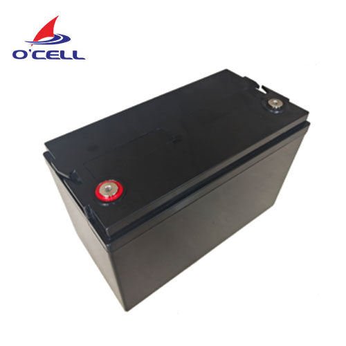 Shenzhen O’cell Technology Co., Ltd. - Speicher - IFM12-1000E2 IFM12-1000E2 - Art. 18896