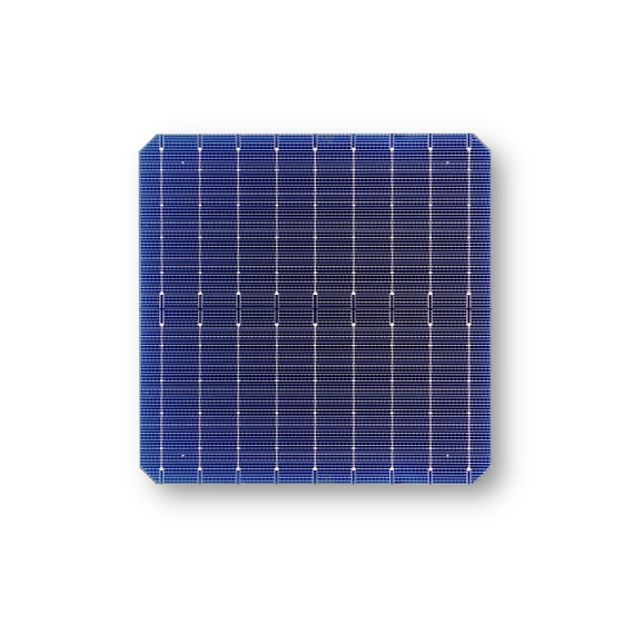 Just Solar Group Limited - Zellen - JST Mono 9BB 166 22,5 - Art. 23484