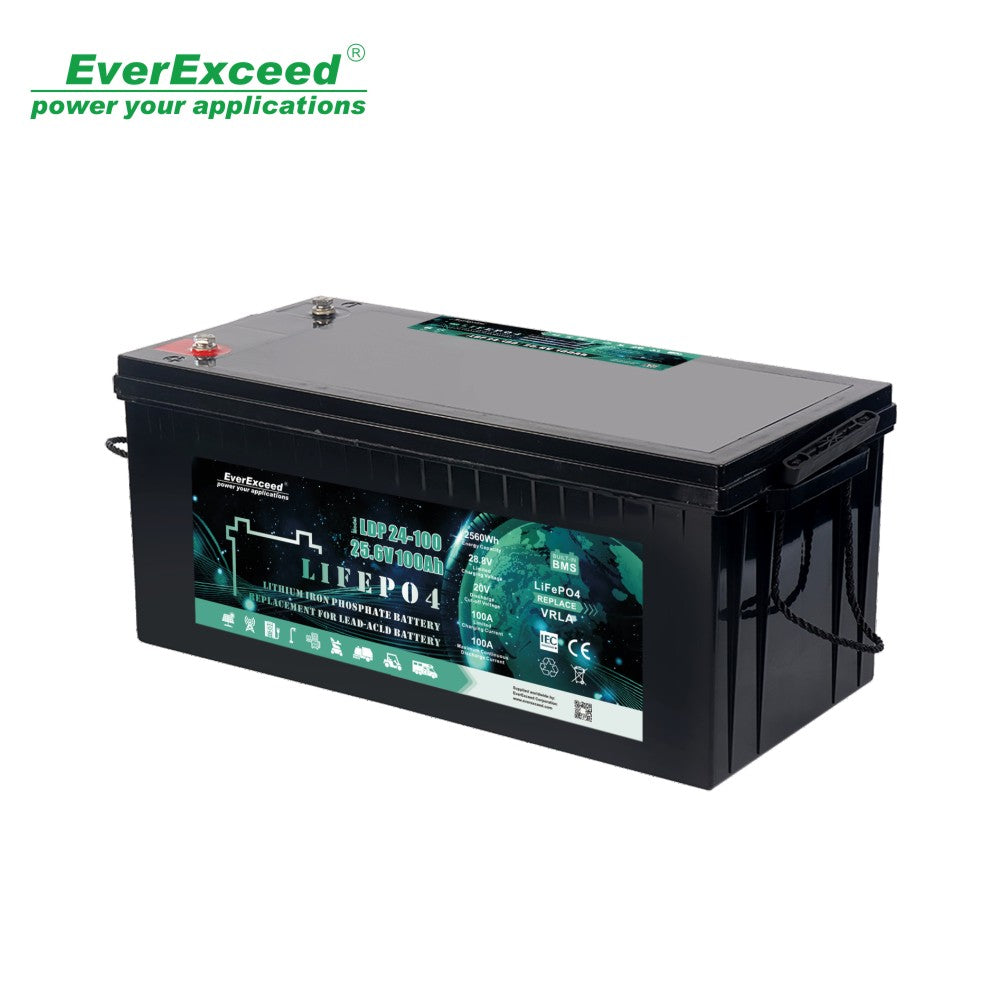 Shenzhen EverExceed Industrial Co., Ltd. - Speicher - LDP 24-100 LDP 24-100 - Art. 24075