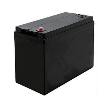 Maxworld Power Technologies Co., Ltd - Speicher - LFP12.8V 100AH LFP12,8V 100AH - Art. 21788