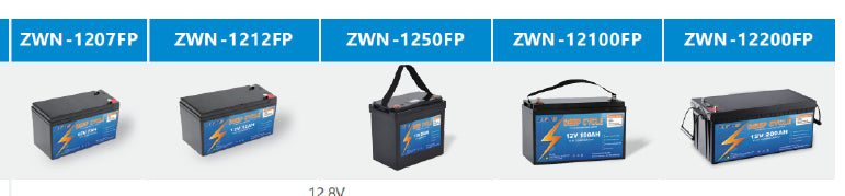 Dongguan Zwayn New Energy Co., Ltd. - Speicher - LFP 12V Series ZWN-12100FP - Art. 24951