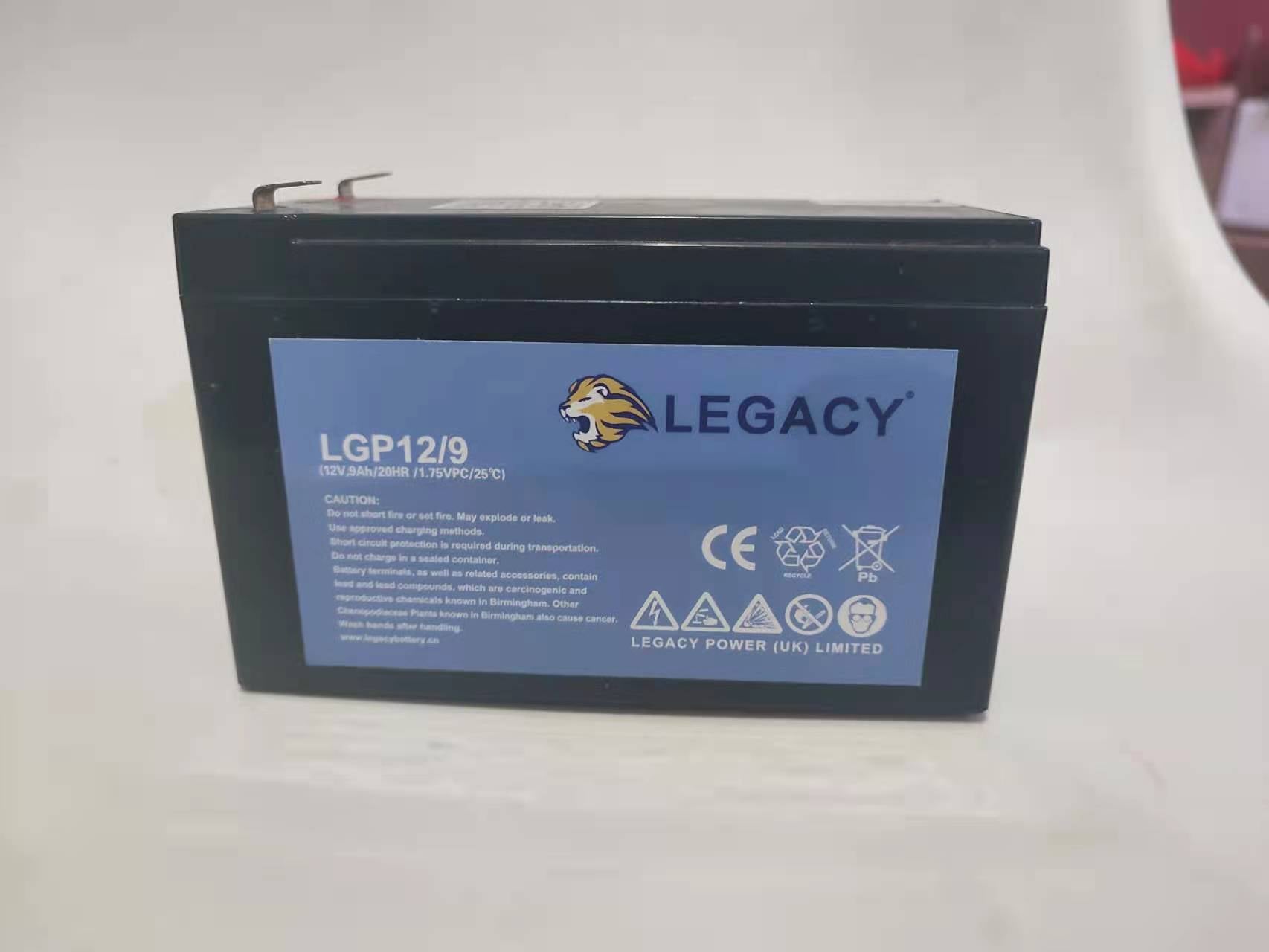 Beijing Shike Power Technology Co., Ltd. (Legacy) - Speicher - LG P12/9 LG P12/9 - Art. 23464