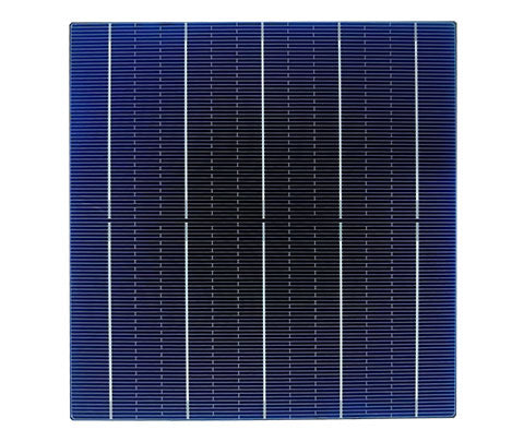 Linking Solar Co., Limited. - Zellen - LKS-158.75MM-5BB 5,482 - Art. 27865
