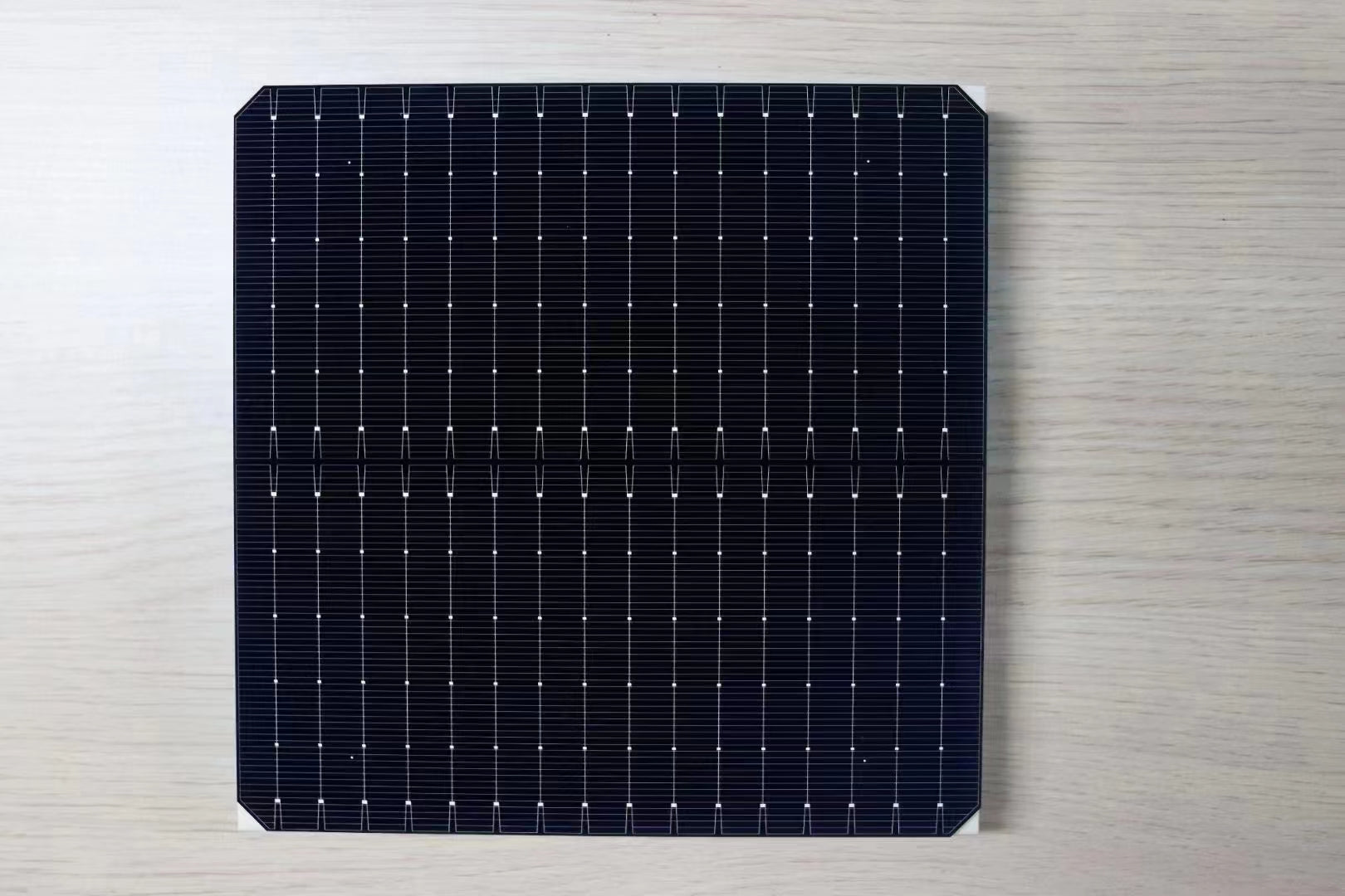 Linking Solar Co., Limited. - Zellen - LKS-182mm N Topcon-16BB 79,2 - Art. 27822