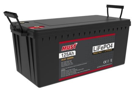 Must Energy (Guangdong) Tech Co., Ltd - Speicher - LP15-24125 LP15-24125 - Art. 22235